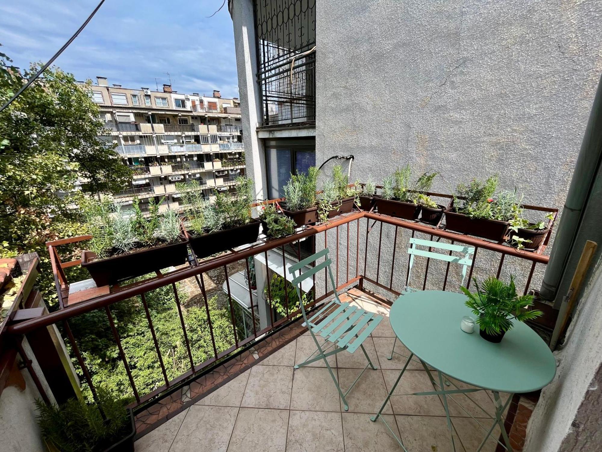 Urban Oasis Lägenhet Belgrad Exteriör bild